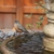 Ein „gARTENreich