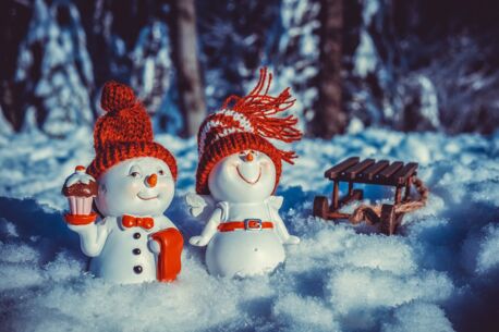 Weihnachten 2019: Festlich & regional genießen