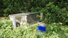 Illegale Müllentsorgung in Henstedt-Ulzburg nimmt zu