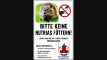 Nutrias im Bad Segeberger Stadtgebiet festgestellt