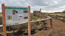 Renaturiertes Grotmoor jetzt erleben