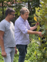 Stadtführungen zur botanischen Idee für Bad Bramstedt