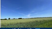 Arrondierte Flächen: 7,6 ha Ackerland in Rieps/
 NWM zu verkaufen (A3761)
