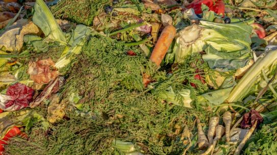 12 Millionen Tonnen Lebensmittel landen im Abfall