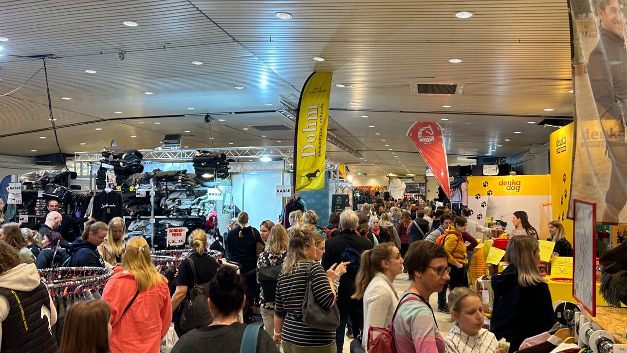 Die Nordpferd in den Holstenhallen Neumünster