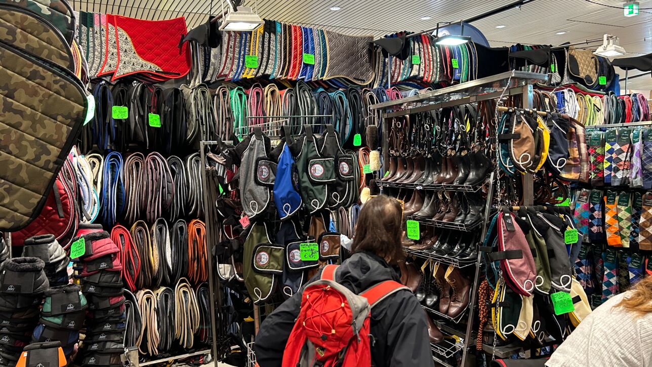 Die Nordpferd in den Holstenhallen Neumünster