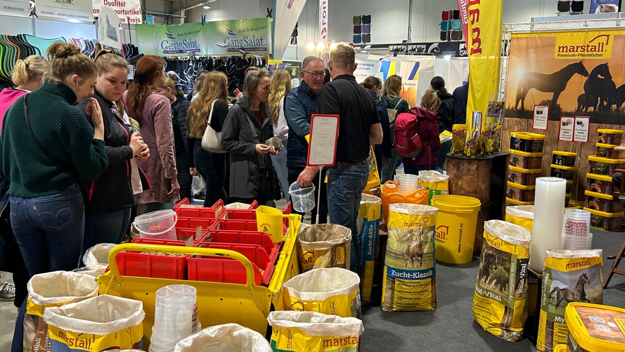 Die Nordpferd in den Holstenhallen Neumünster
