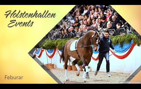 Internationales Reiten bei den VR Classics