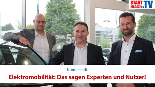 Elektromobilität: Das sagen Experten und Nutzer!