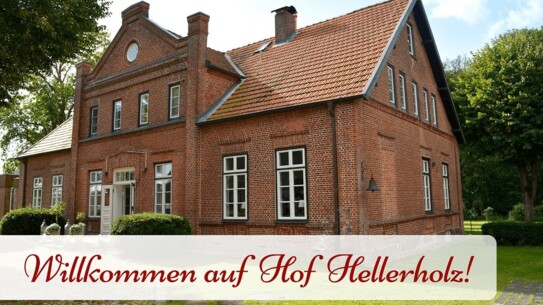 Angebot